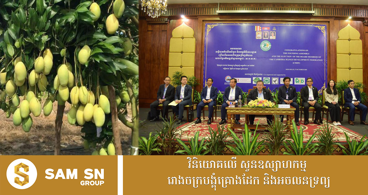 បង្កើតសហព័ន្ធអភិវឌ្ឍន៍ស្វាយកម្ពុជា ដើម្បីជំរុញដំណាំស្វាយឱ្យមានការរីកចម្រើន និងមានការទទួលស្គាល់