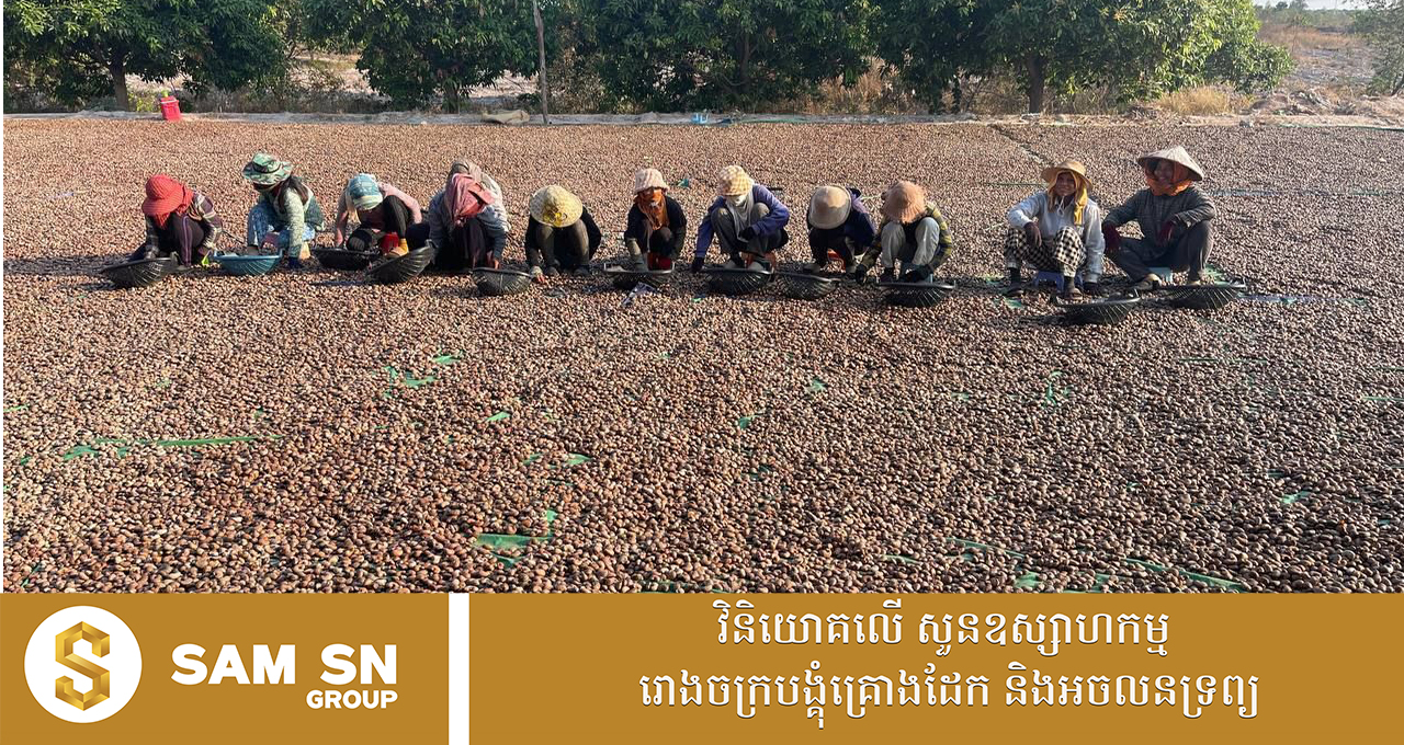 តម្លៃគ្រាប់ស្វាយចន្ទីឆៅនៅកម្ពុជា កើនឡើងមិនប្រក្រតី