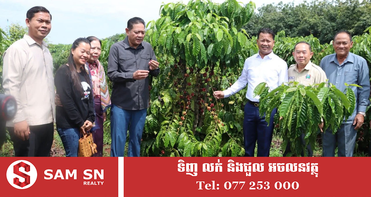 នៅស្រុកមេមត់​ មានប្រវត្តិដាំដំណាំកាហ្វេតាំងពីសម័យសង្គមរាស្ត្រនិយមមកម្លេះ