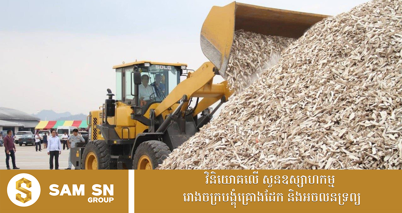 កម្ពុជា​រក​​ចំណូល​បាន ៥៧៤​ លាន​ដុល្លារ​ ពី​ការ​នាំ​ចេញ​ដំឡូងមី រយៈពេល១១ខែ​ ក្នុងឆ្នាំ ២០២៥