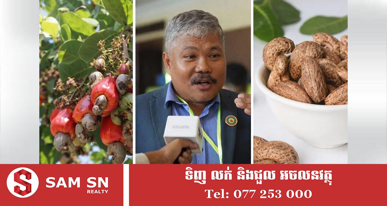 កម្ពុជា-ជប៉ុន នឹងរៀបចំកម្មវិធីជំនួបធុរកិច្ចស្វាយចន្ទី នៅខែមីនាខាងមុខ