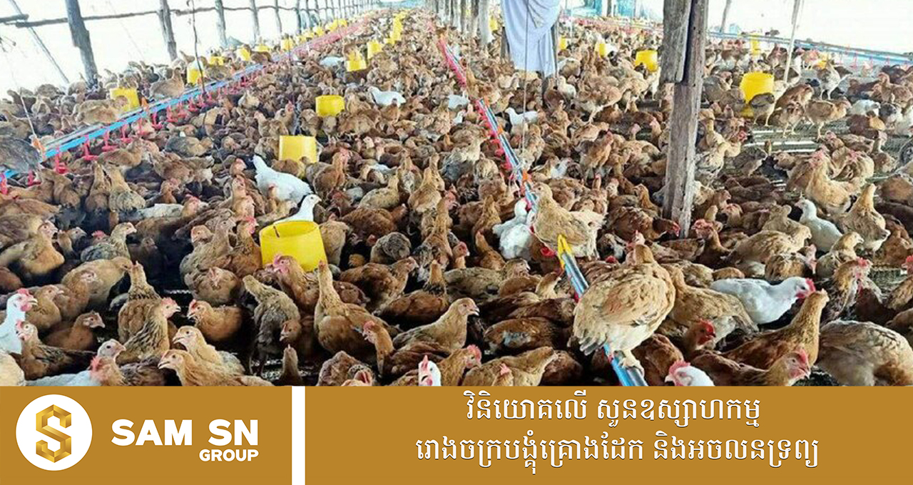 008 ក្រុមហ៊ុន៣ ចុះកិច្ចព្រមព្រៀងលើគម្រោងផលិតកូនមាន់ និងចិញ្ចឹមមាន់យកសាច់ក្នុង១ឆ្នាំ ឱ្យបាន ២៥លានក្បាល