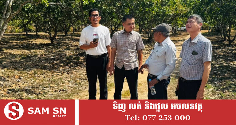 សមាគមស្វាយចន្ទីកម្ពុជា ជួបពិភាក្សាជាមួយសមាគមស្វាយ​ចន្ទីវៀតណាម ដើម្បីពង្រីកពាណិជ្ជកម្មគ្រាប់ស្វាយចន្ទីឆៅ