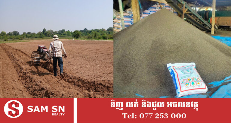 ជីកសិកម្មផលិតក្នុងស្រុក ជួយកាត់បន្ថយចំណាយលើការនាំចូលជាង ១៧ លាន​ដុល្លារ